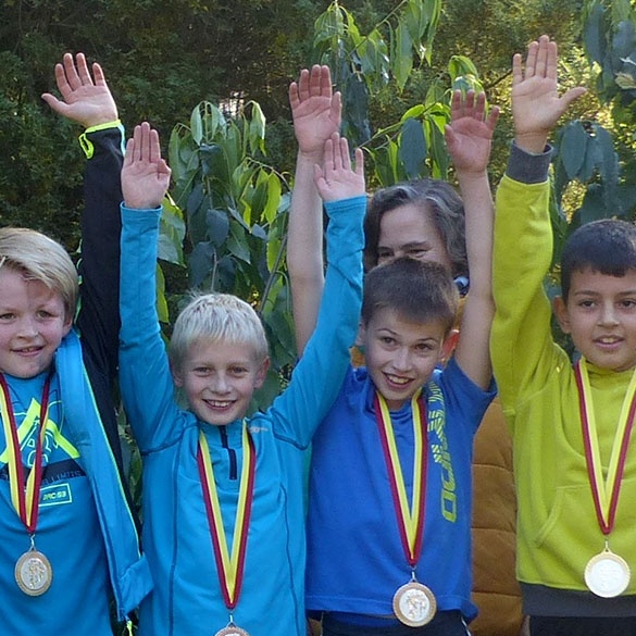 2015_Waldlauf_Jungen