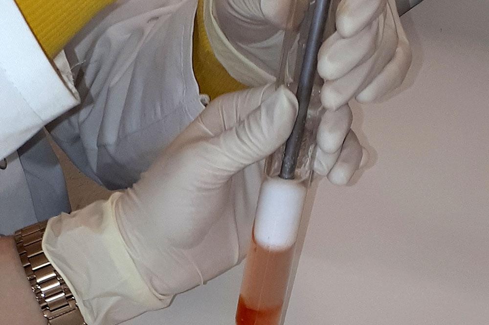 Genetikpraktikum_2019_02 Genetikpraktikum_2019_02