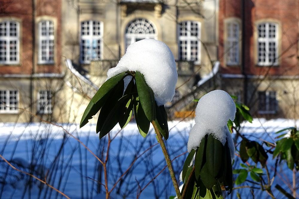 Loburg_Schnee_2021