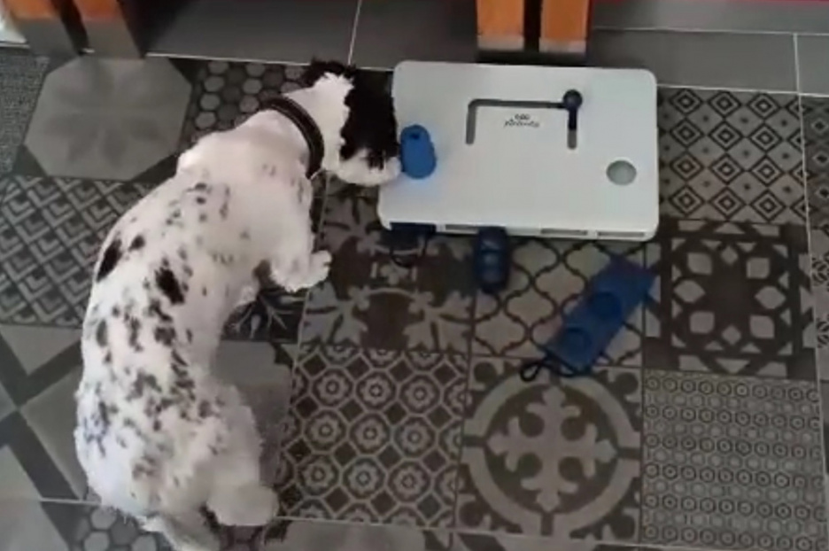 Jugend forscht 2024 (3)