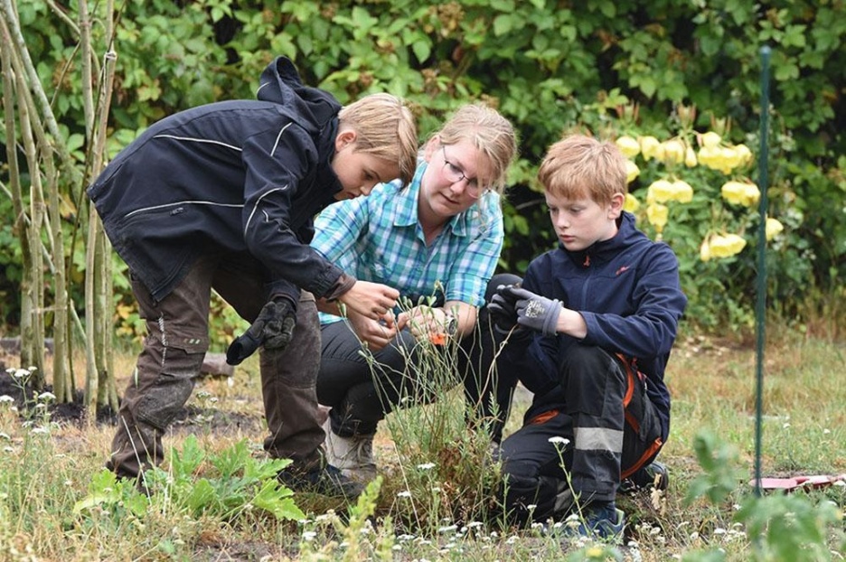 Schulgarten1