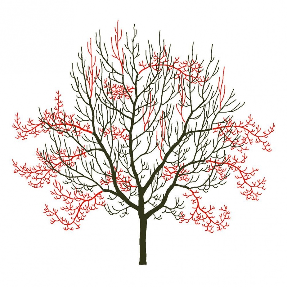 4-auslichtung_1 Kopie