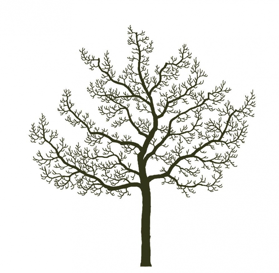 7-verjüngung_2 Kopie