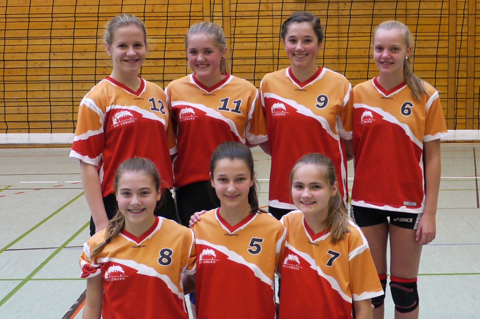 Volleyball-02-2014