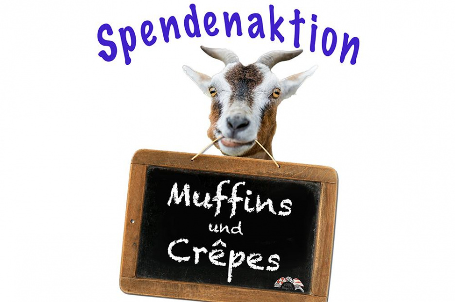 Plakat_Ziegenprojekt 2