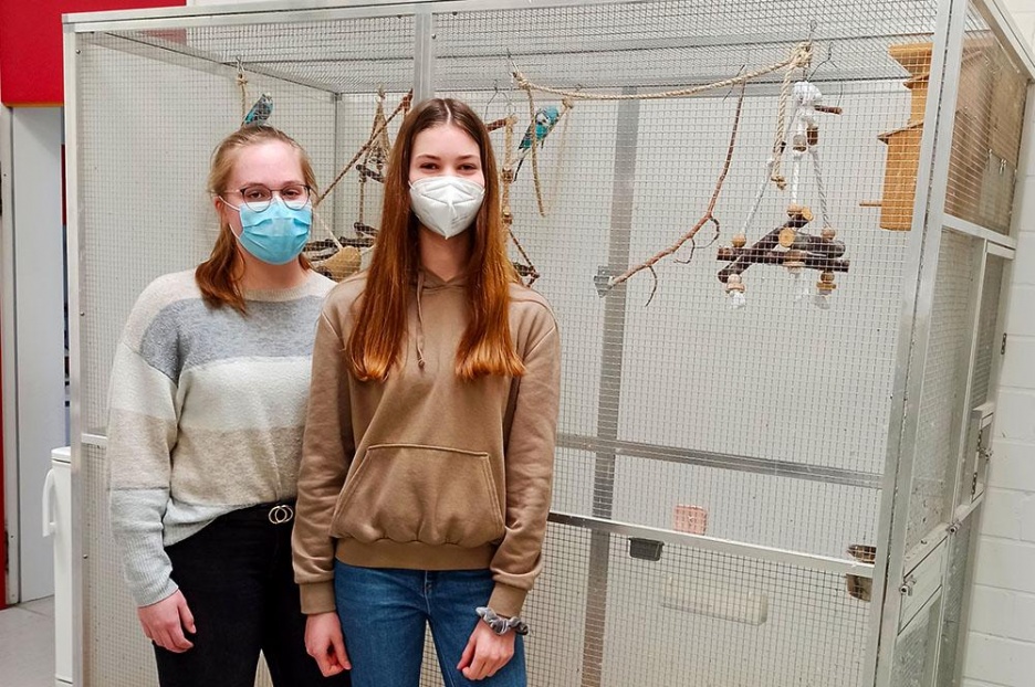 Jugend_forscht_2021_01