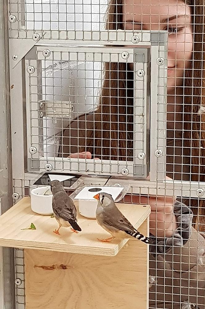 Jugend_forscht_2021_02