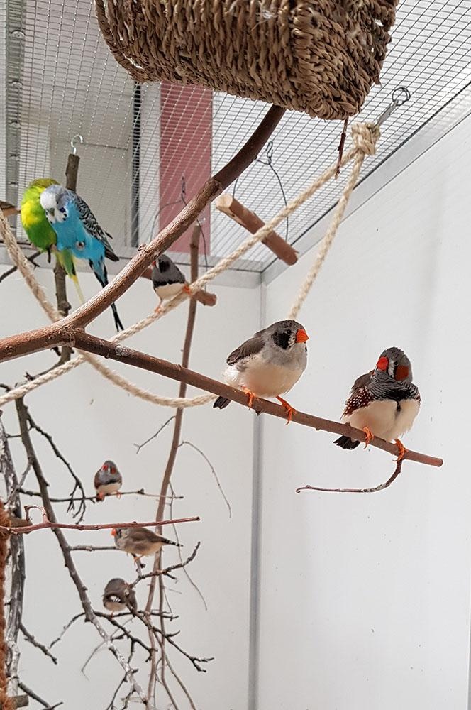 Jugend_forscht_2021_03