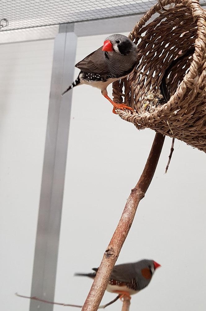 Jugend_forscht_2021_04