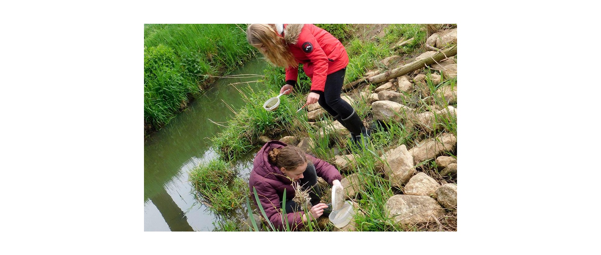 Lumbricus_Umweltbus_04 Lumbricus_Umweltbus_04